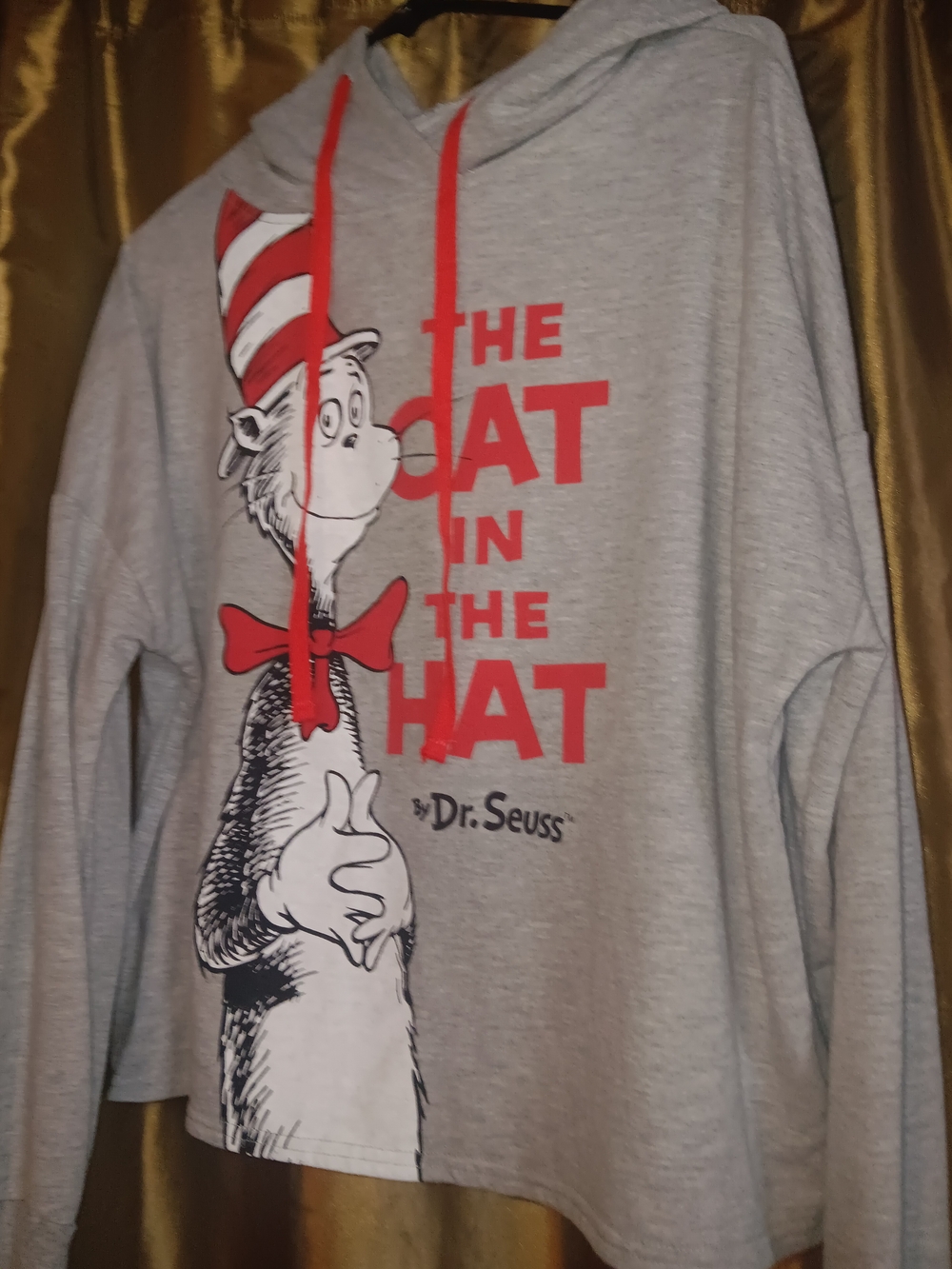 The Cat in the Hat Dr. Seuss Gray Hoodie with Red Accents
